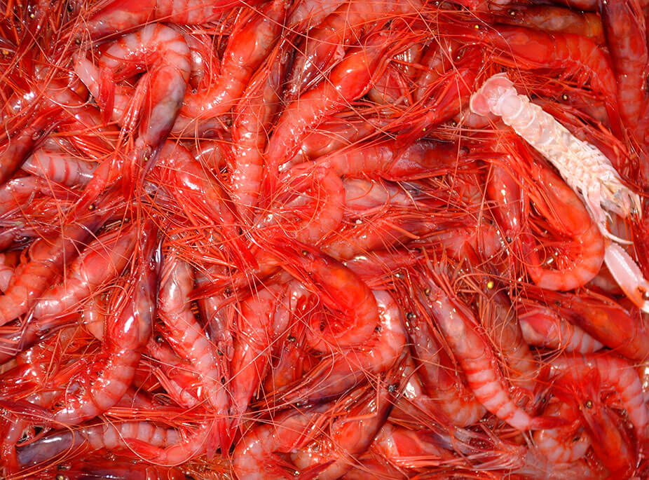 VOUS �TES UN SYBARITE?