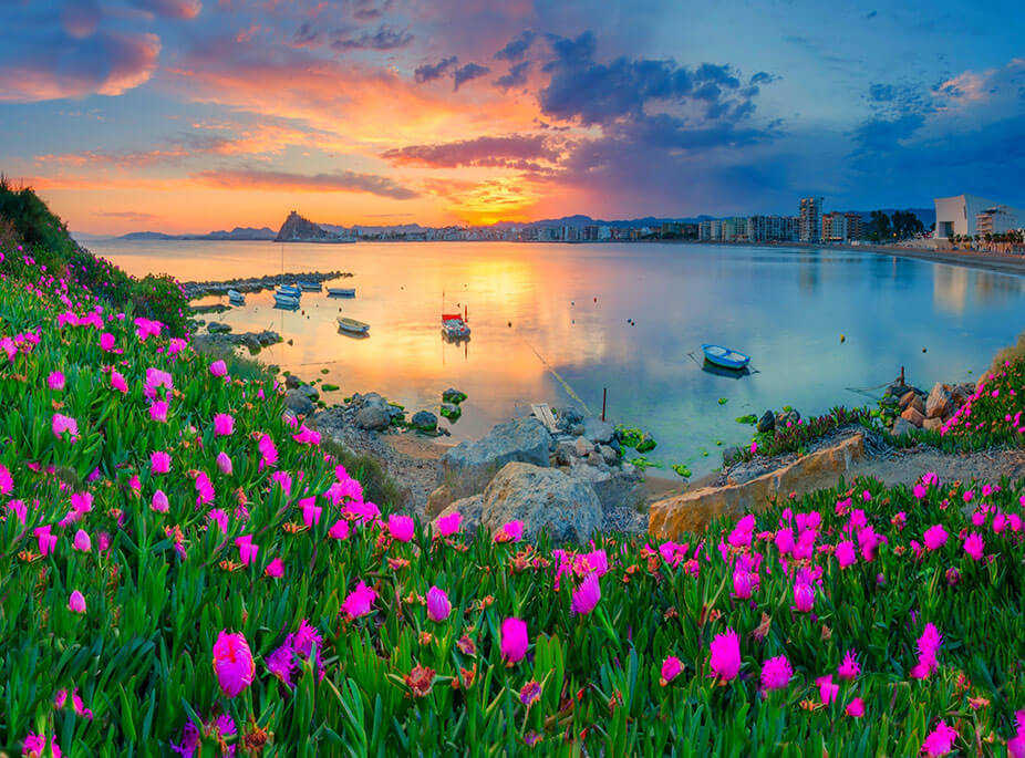 UNE PLAGE D�LICIEUSE