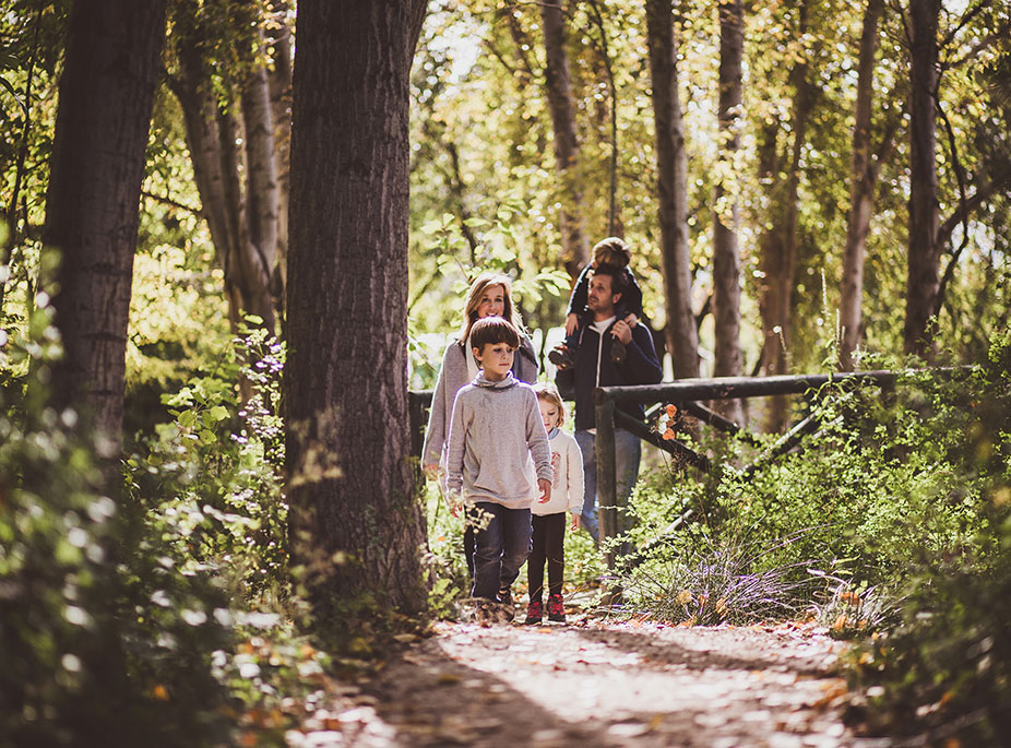 � TRAVERS LA V�A VERDE