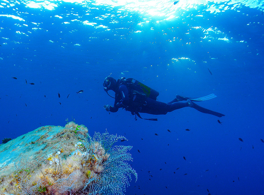 �SENDERISMO O BUCEO?