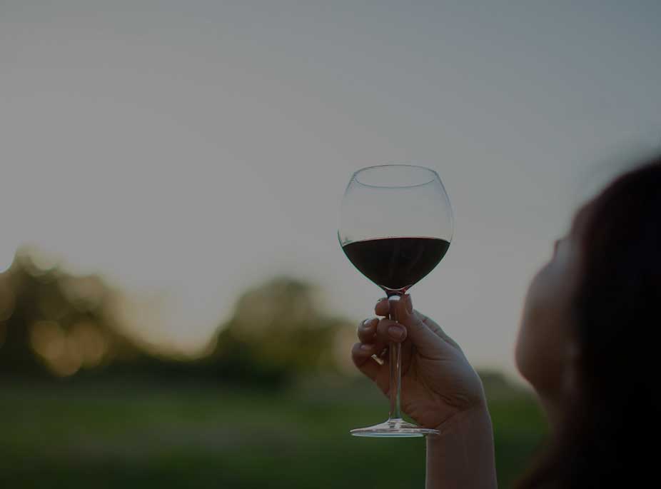 WINES OF DENOMINATION OF ORIGIN (PDO)