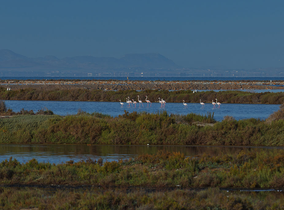 SALZWERKE UND SANDGRUBEN