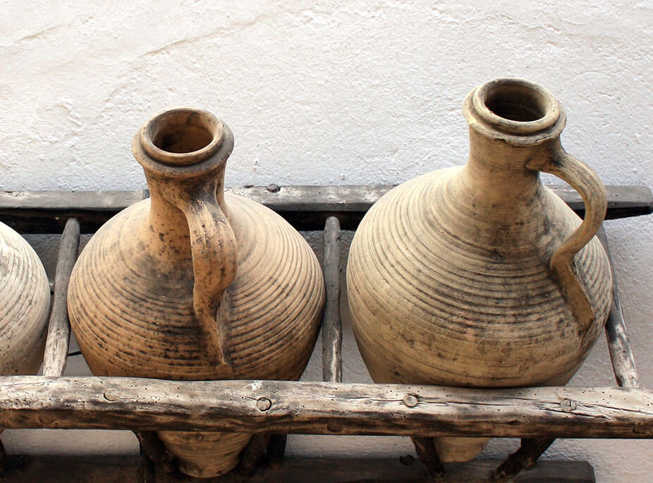 A JOURNEY TO THE ROOTS