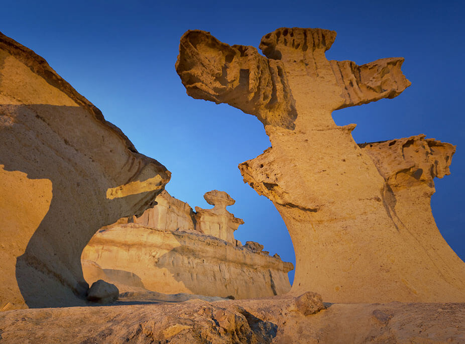 OUT OF THIS WORLD CREATIONS