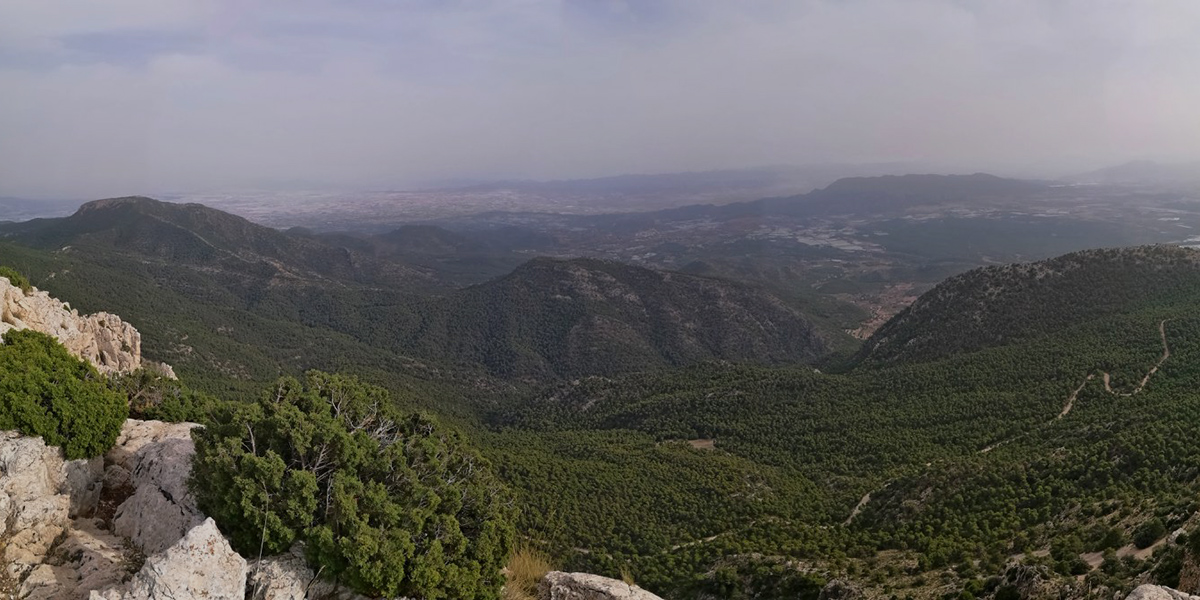 Experiencias&Ecoturismo en Territorio Sierra Espu�a