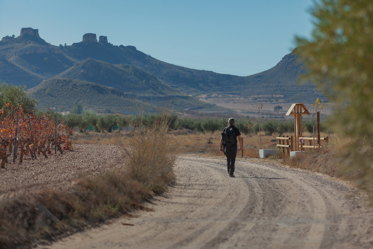 Connection between Greenways: Chicharra Yecla - Cieza