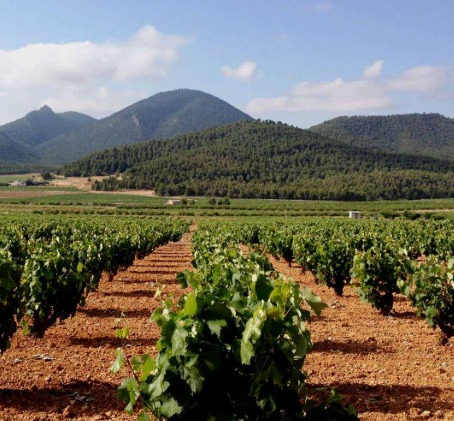 Ruta Conociendo Jumilla