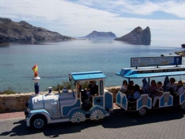 Tourist trains