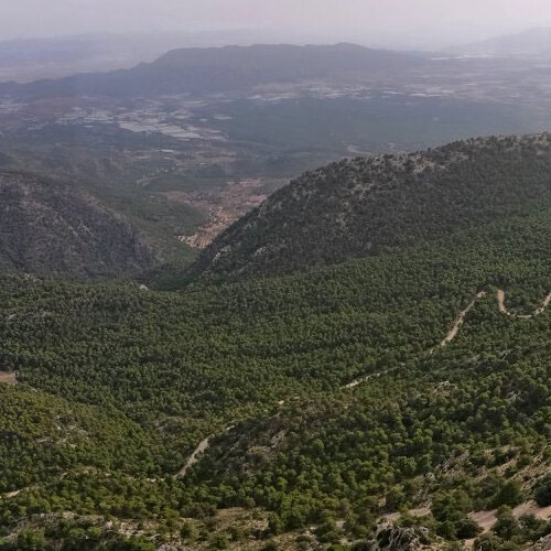 Ecoturismo certificado