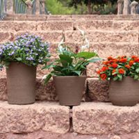 EURO-POL ALFARER�A