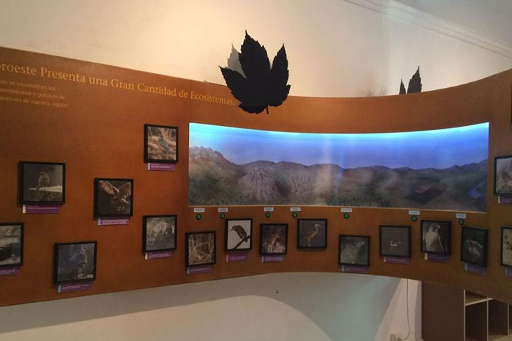 CENTRO DE INTERPRETACI�N DE LA NATURALEZA FUENTES DEL MARQU�S