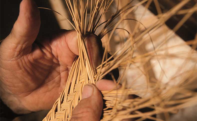 MUSEO Y CENTRO DE DIFUSI�N DEL ESPARTO