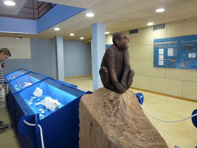 CENTRO DE INTERPRETACI�N DEL YACIMIENTO PALEONTOL�GICO DE LA SIERRA DE QUIBAS