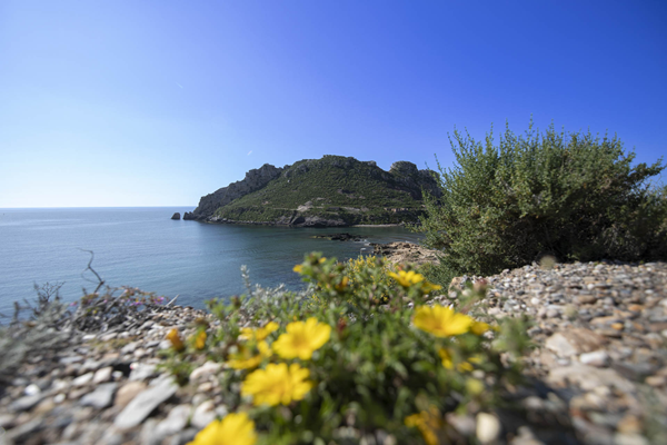 ISLAS E ISLOTES DEL LITORAL MEDITERR�NEO