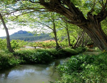 ACEQUIA DE LA ANDELMA