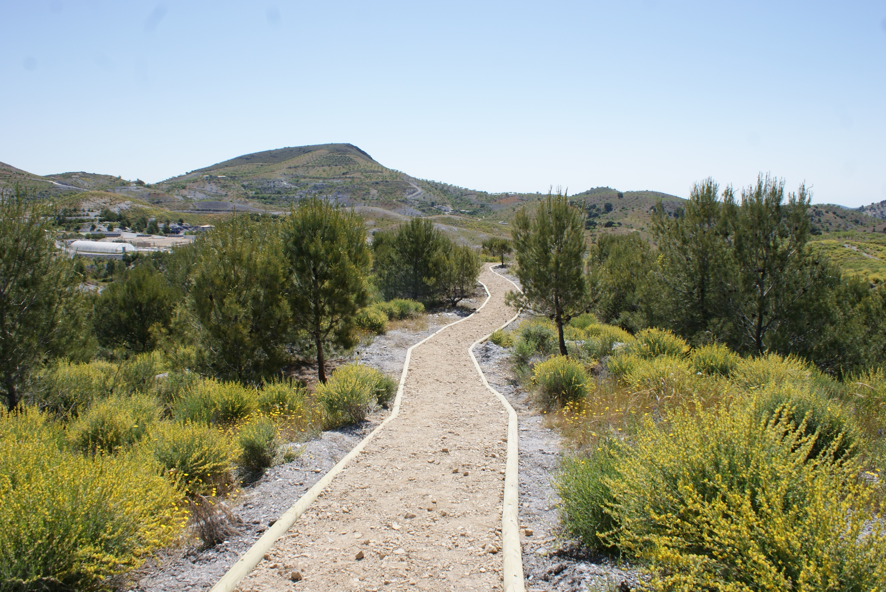 SENDERO BOT�NICO Y DE APROVECHAMIENTO DEL AGUA 