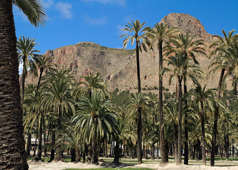 PALMERAL DE SAN ANT�N