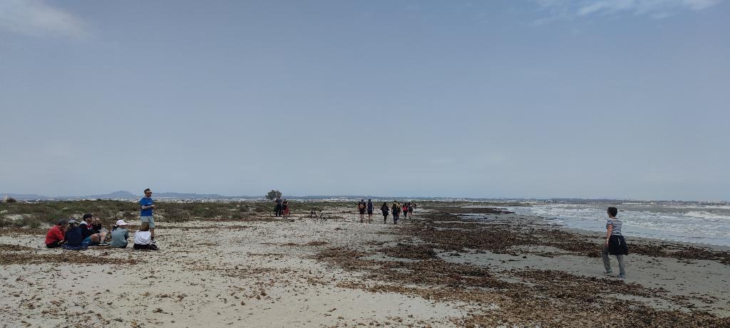 PLAYAS DE LA LLANA (PLAYA PUNTA DE ALGAS)