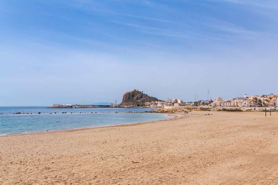 PLAYA DE LAS DELICIAS 