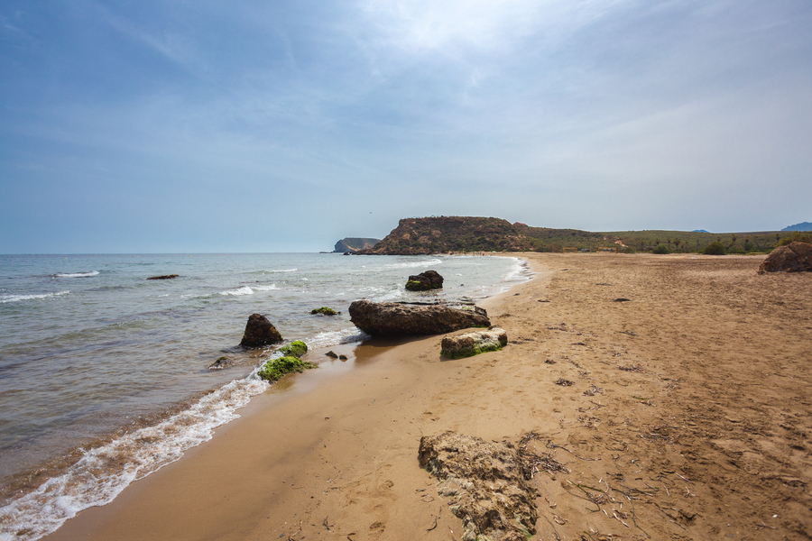 PLAYA DE CALARREONA